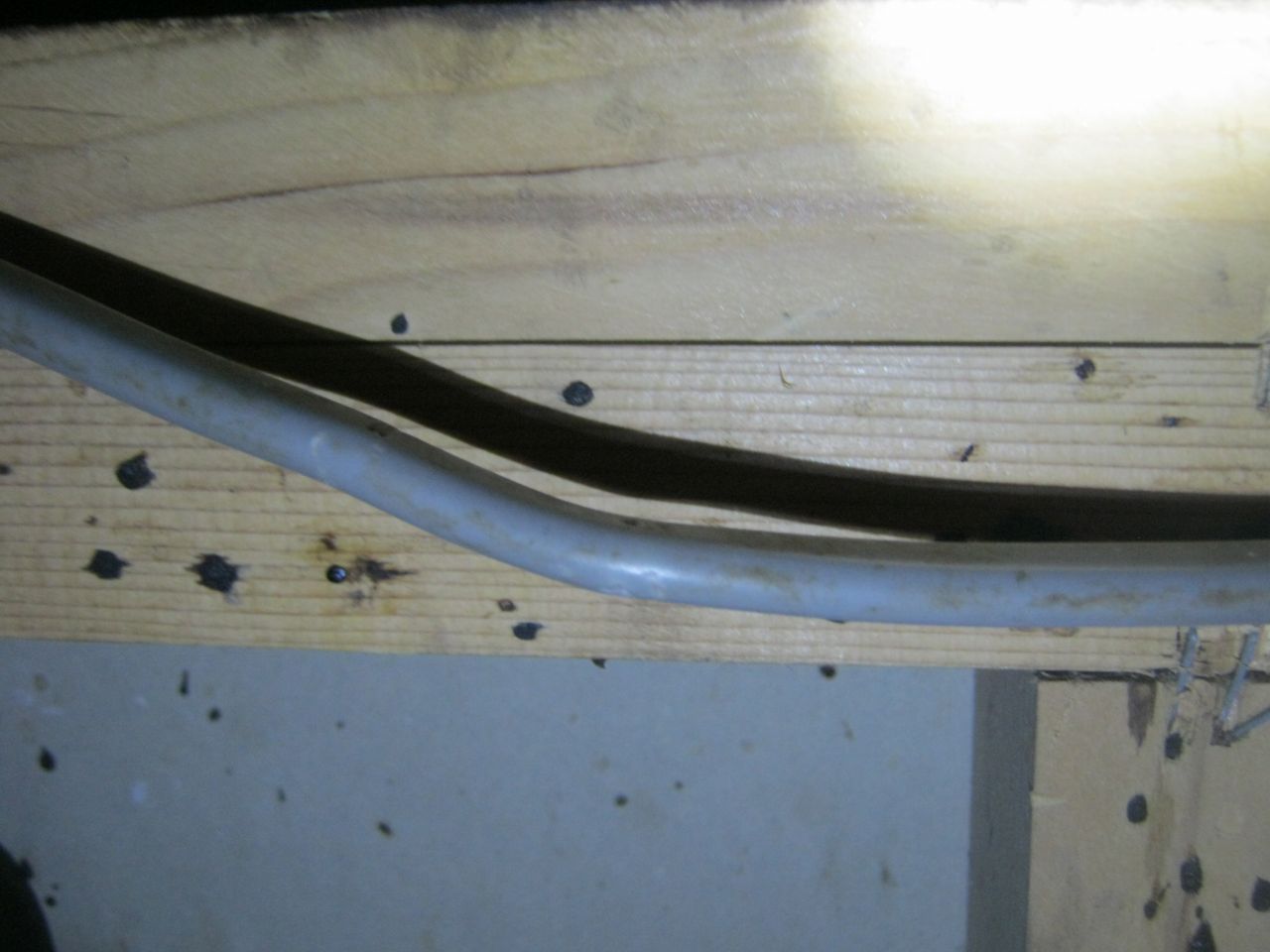 かじられた電気ケーブル