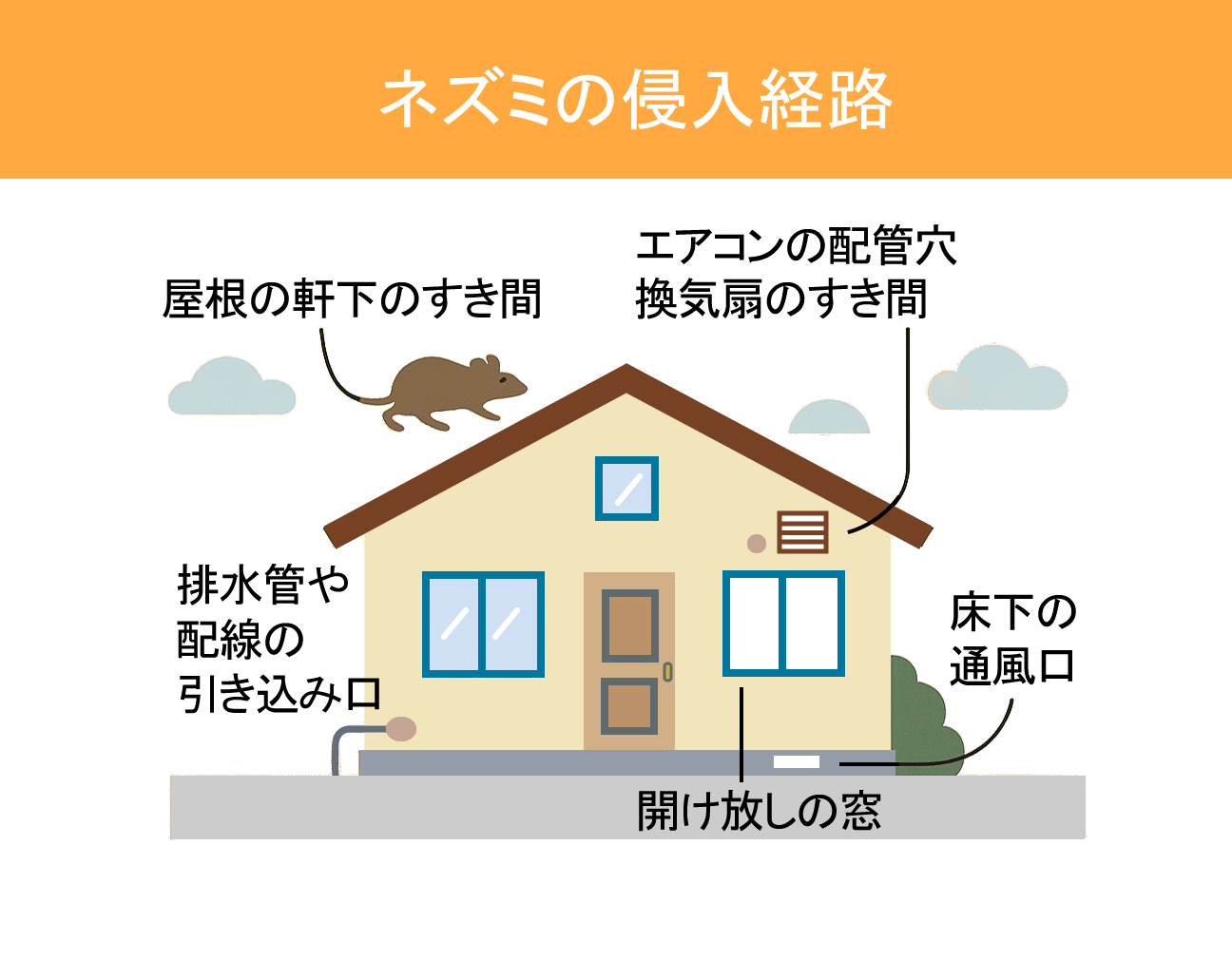 ネズミの侵入経路