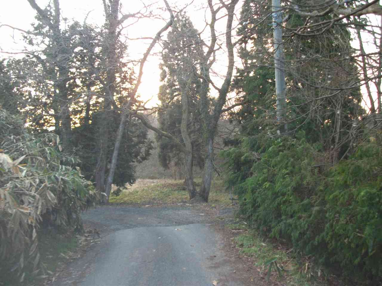 別荘地の進入路