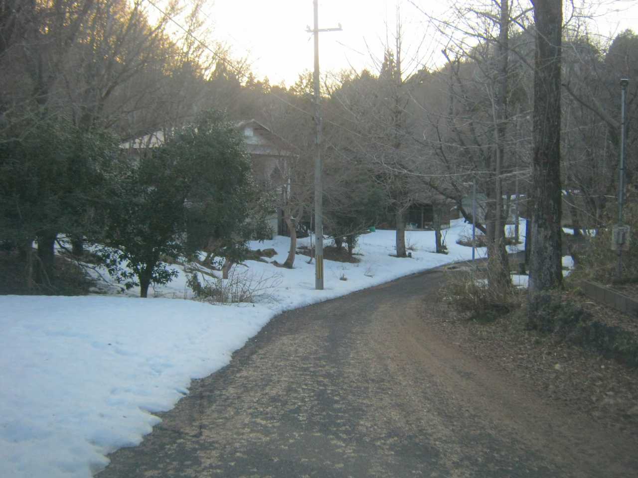 舗装された別荘地の道路