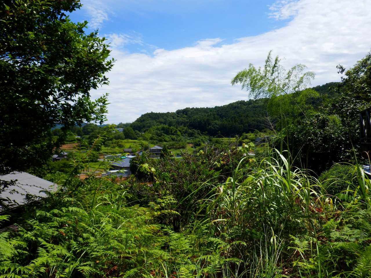 別荘地からの眺望