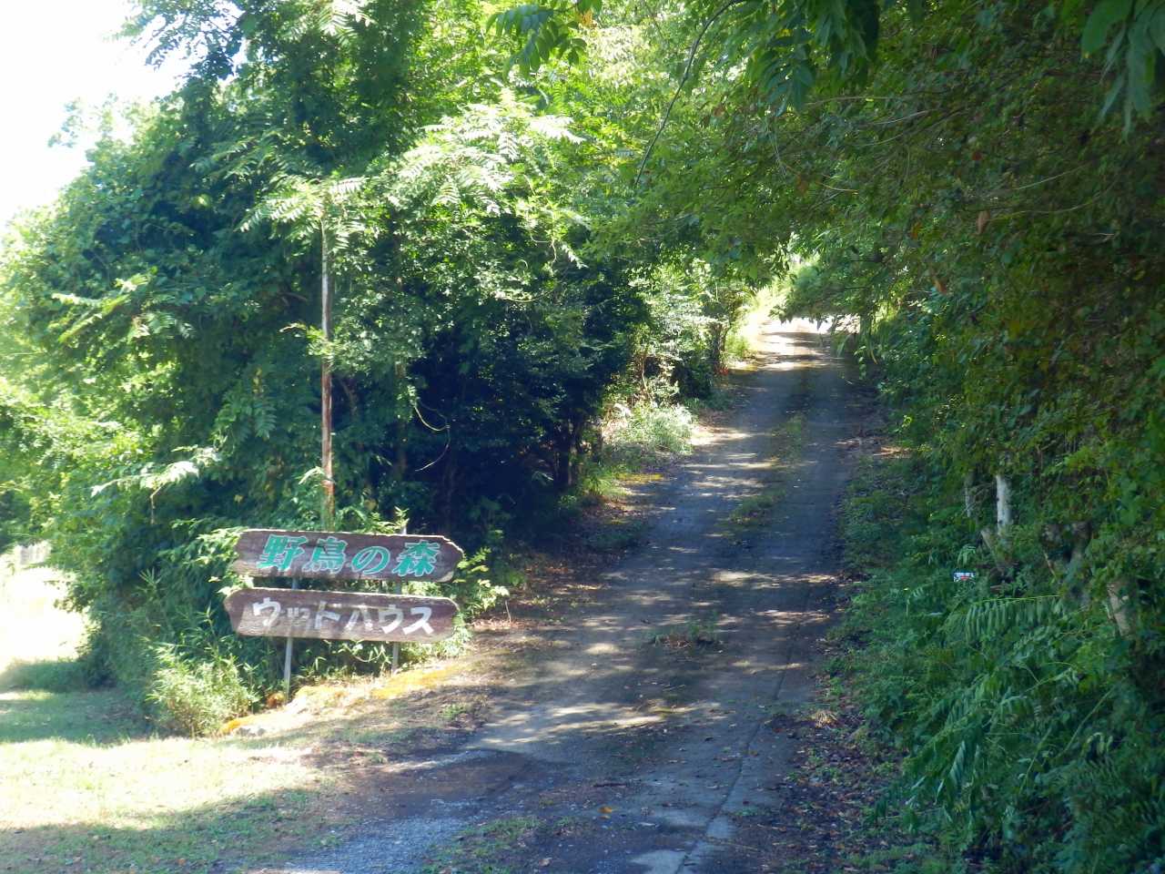 野鳥の森ウッドハウスの入口の坂