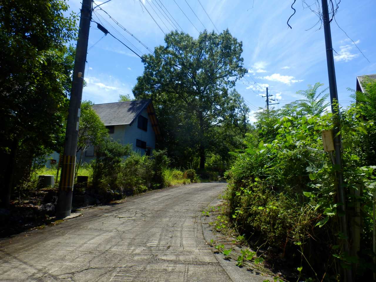 野鳥の森ウッドハウス別荘地の内部